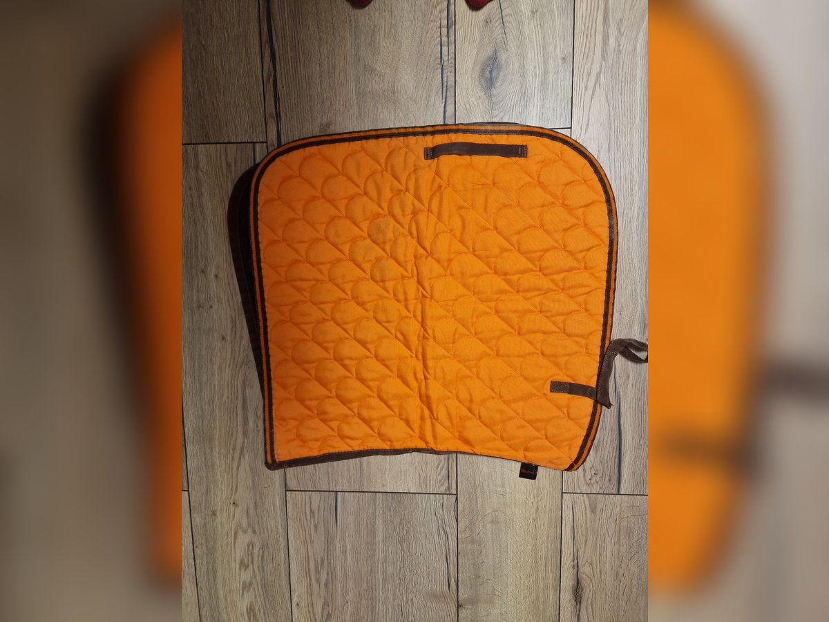 Mustang Schabracke DL orange  
