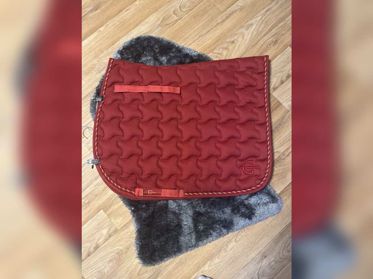 Rote Covalliero Dressur Schabracke