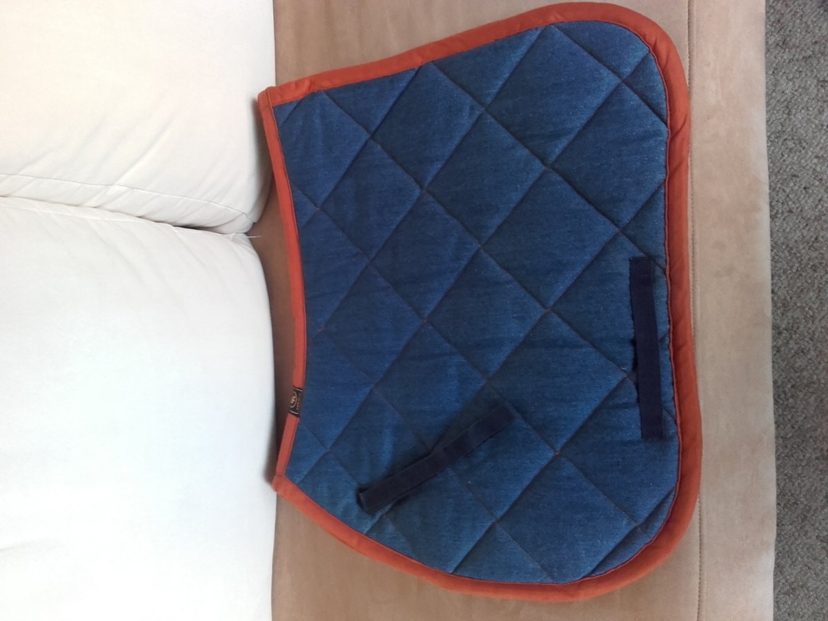 Schabracke Jeans VS Gr. COB/Vollblut von BR