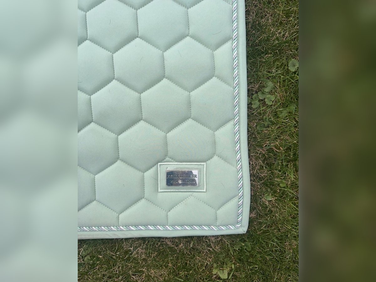 Schabracke mint-grün DR WB