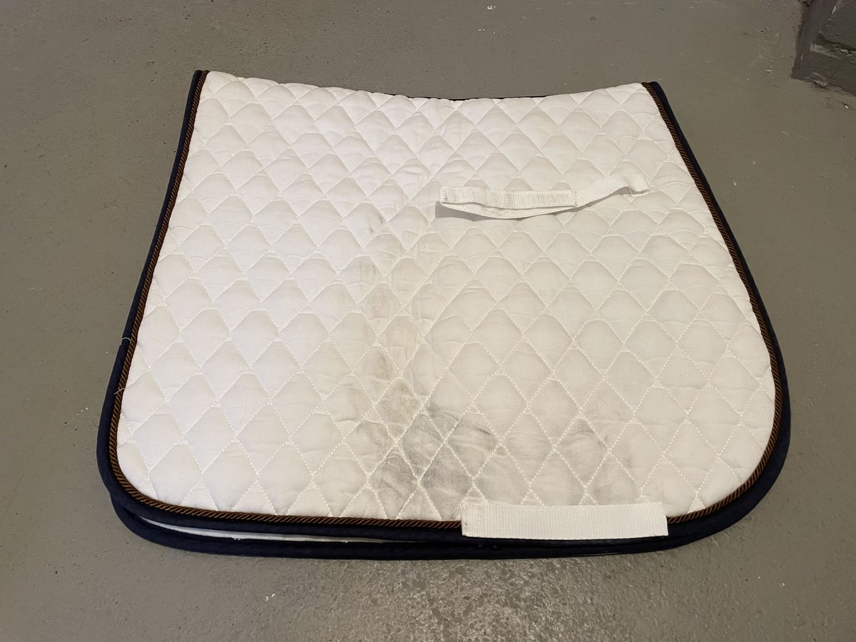 Weiße Dressurschabracke von Equest mit dunkelblauer Kordel