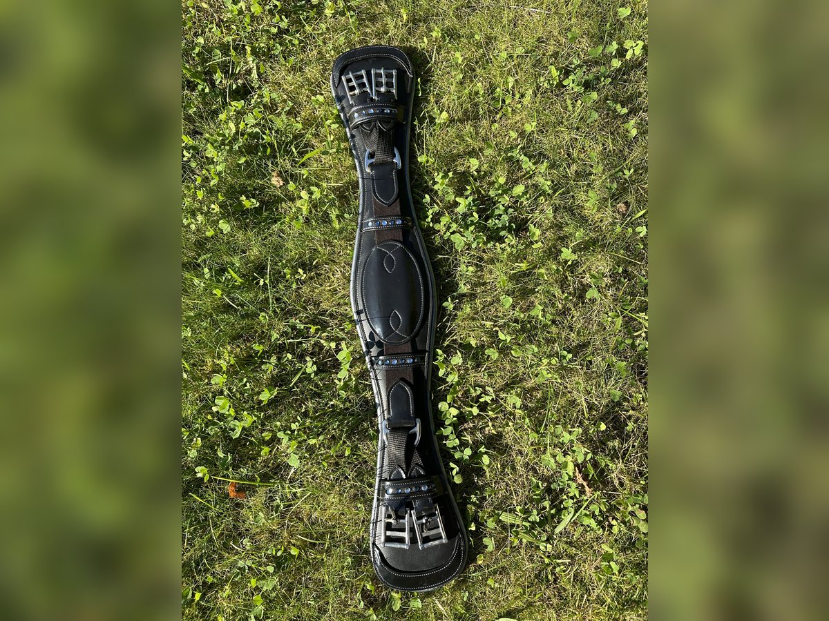 Kurzgurt Lack 65cm