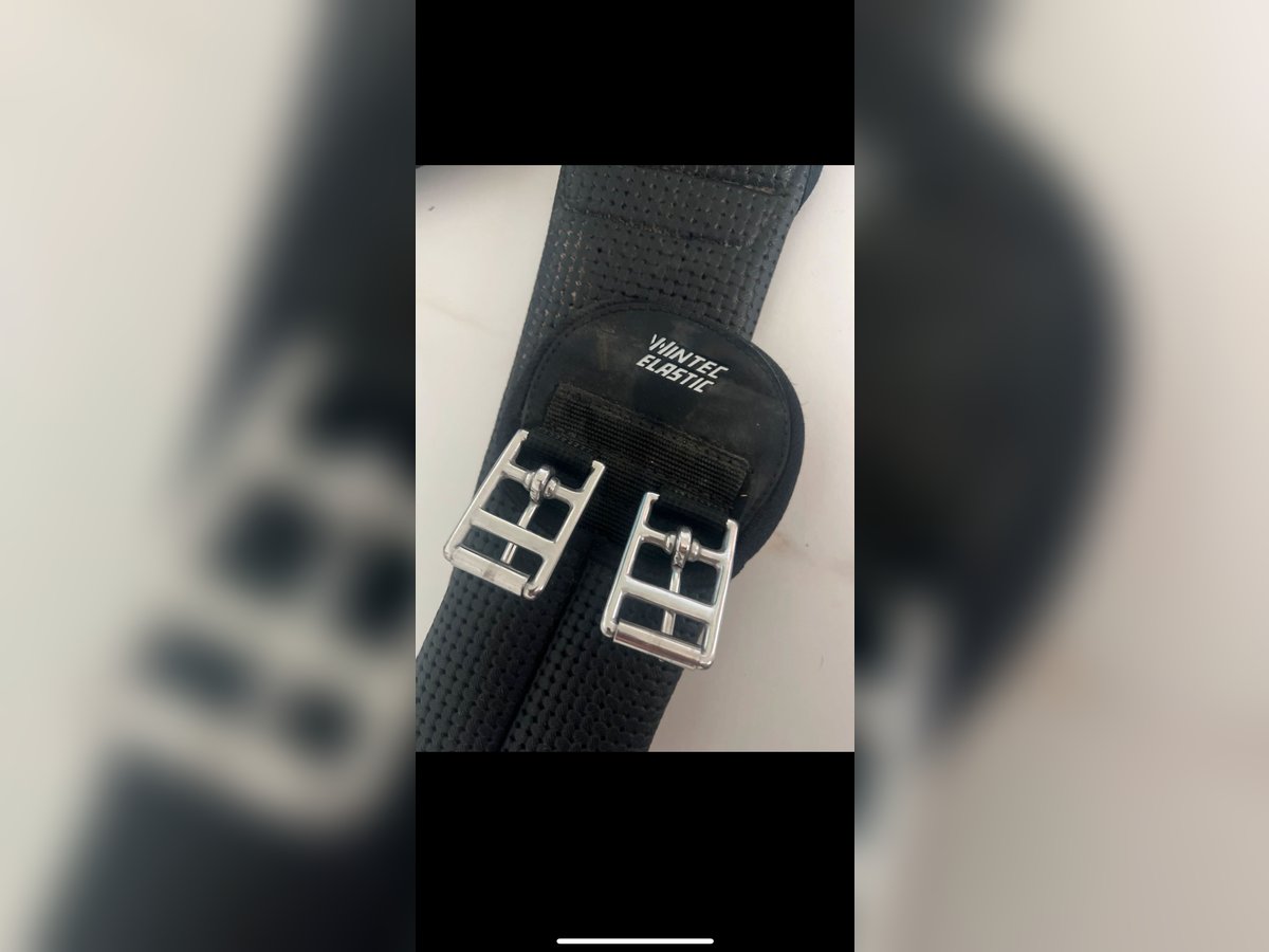 Sattelgurt 80 cm Wintec Elastic