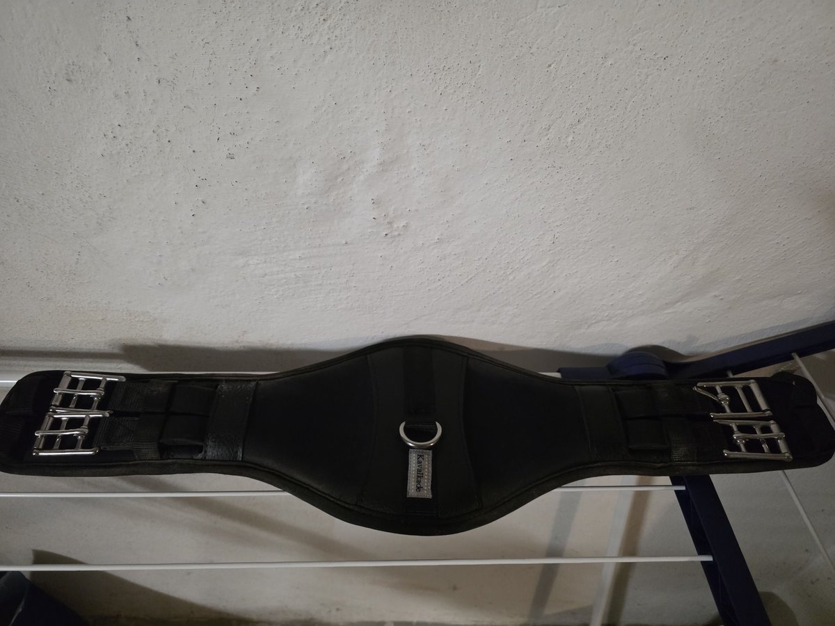 Sattelgurt Kavalkade