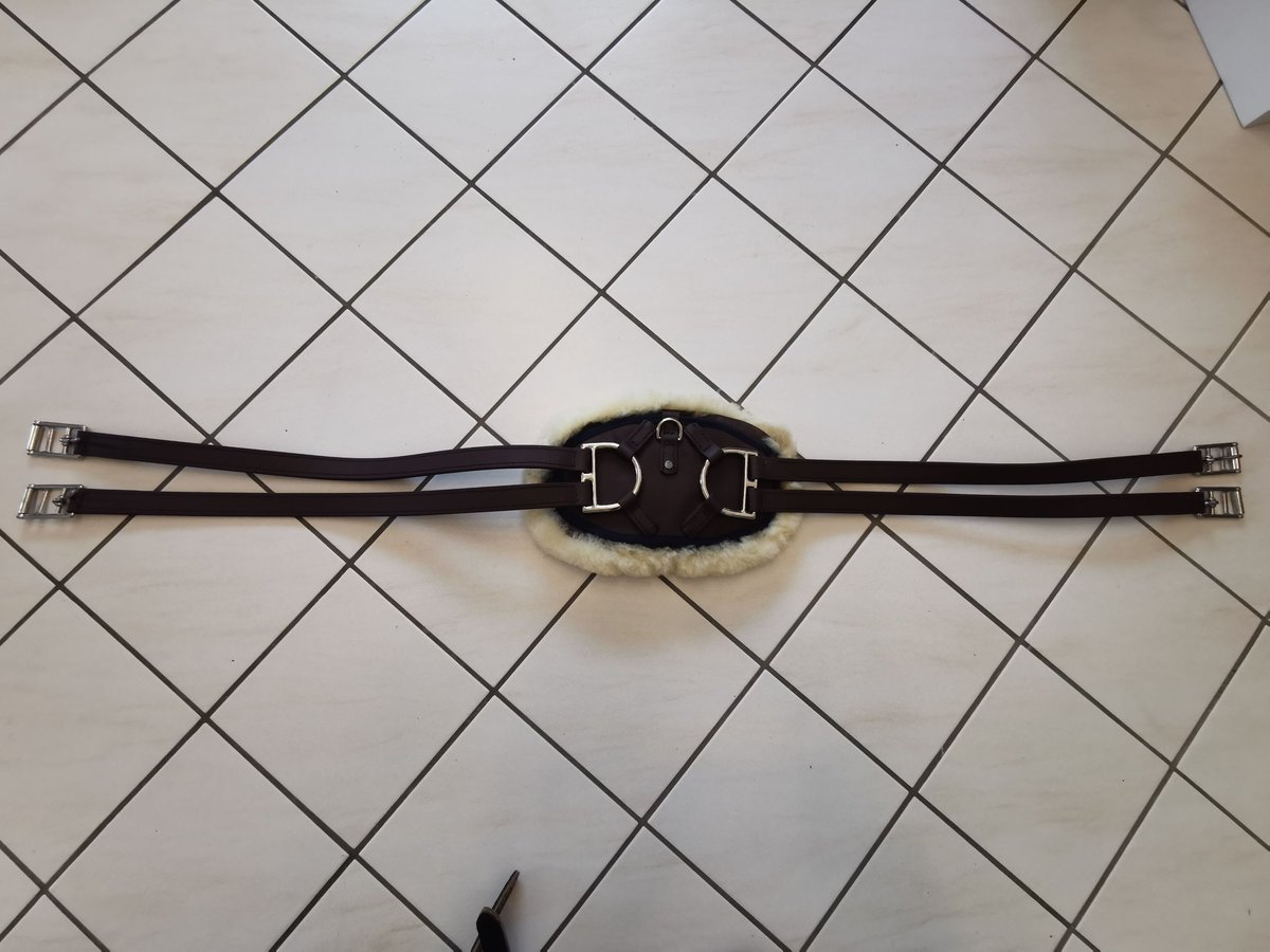 Equigurt von Equimero, braun, 135 cm