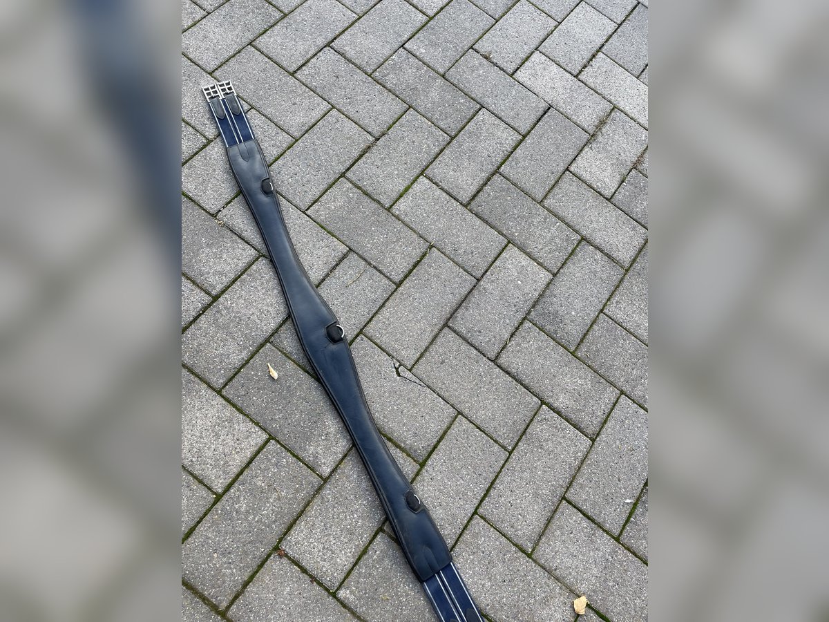 Passier Sattelgurt 145cm