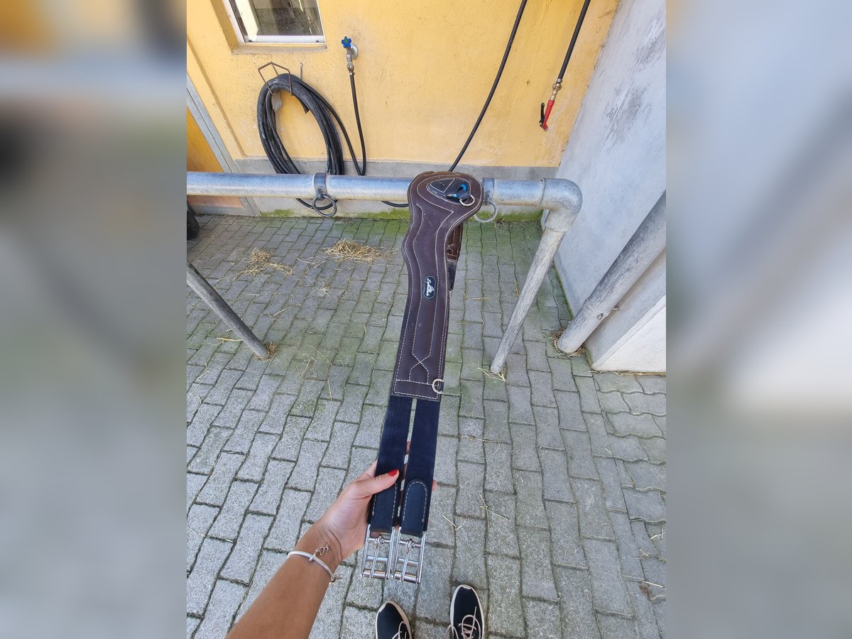 Sattelgurt zu verkaufen