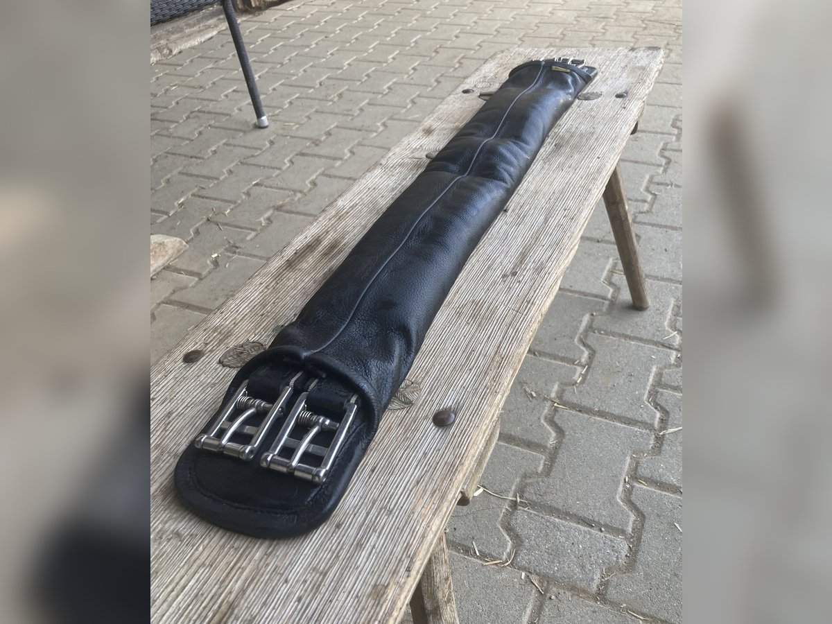 Thermo Gel Sattelgurt, Original Baloun, 80cm, schwarz 
