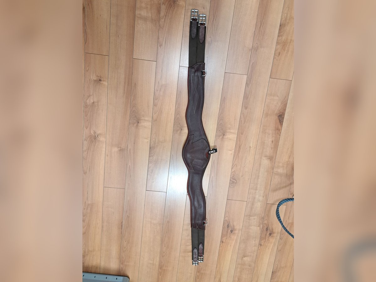 Verkaufe meinen kaum gebrauchten CWD Sattelgurt 
