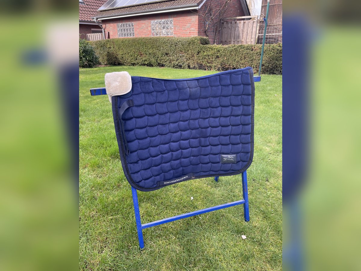 Schockemöhle Schabracke DR blau