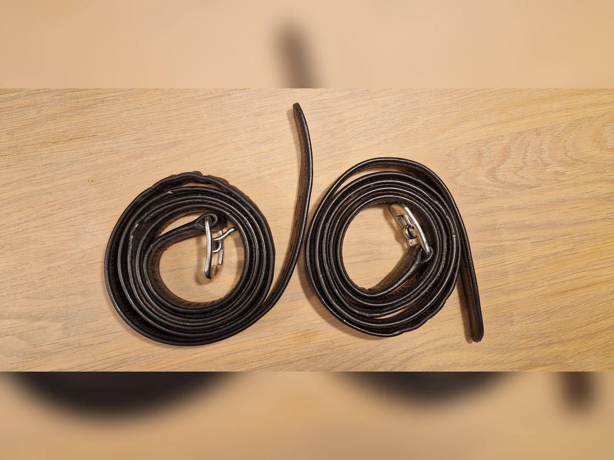 Steigbügelriemen Passier 160cm Schwarz Leder Nylon