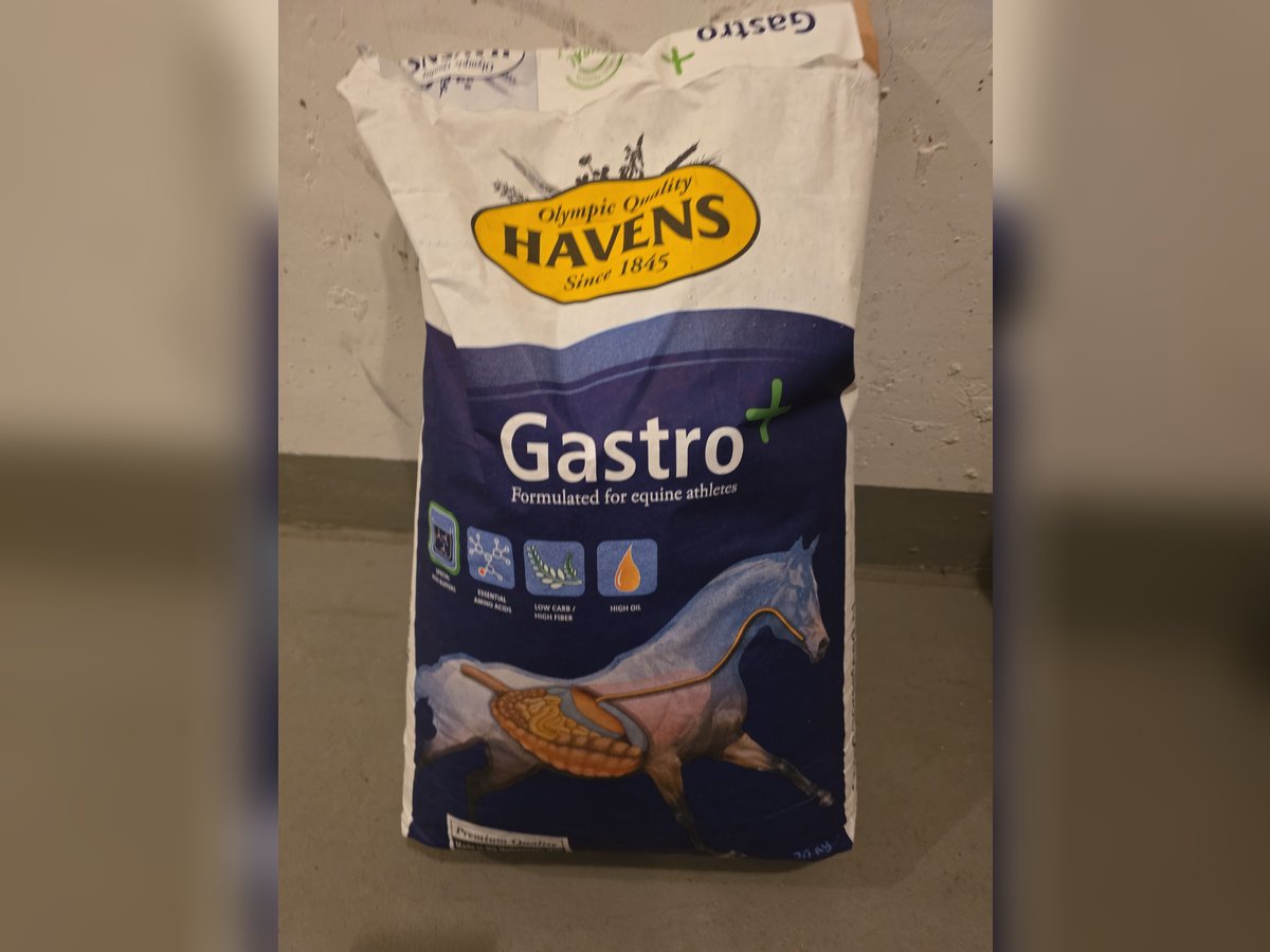 2 ungeöffnete Packungen Gastro plus je 20 Ruro 2 ungeöffnete Packungen Gastro plus je 20 Ruro
