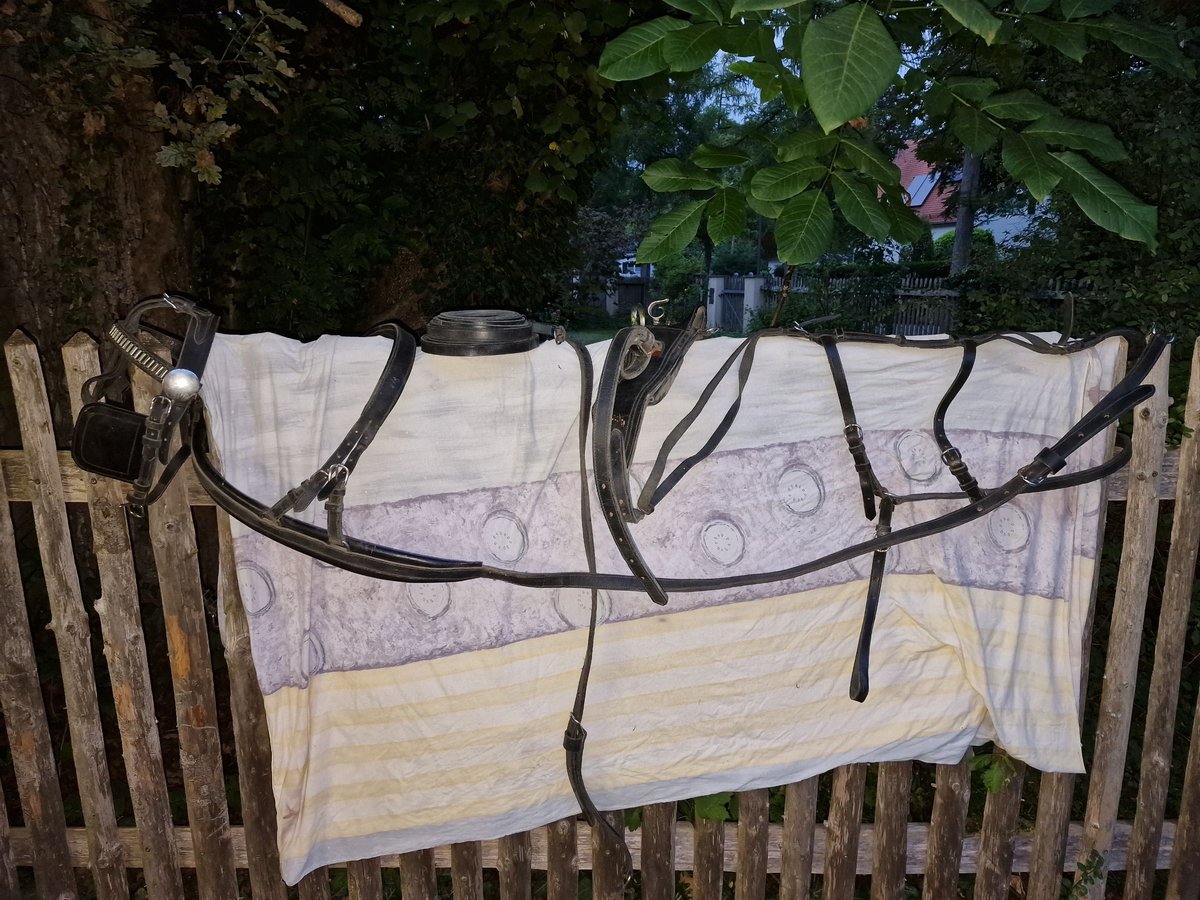 Brustblattgeschirr, Kutschgeschirr, Geschirr (Schlumpf)