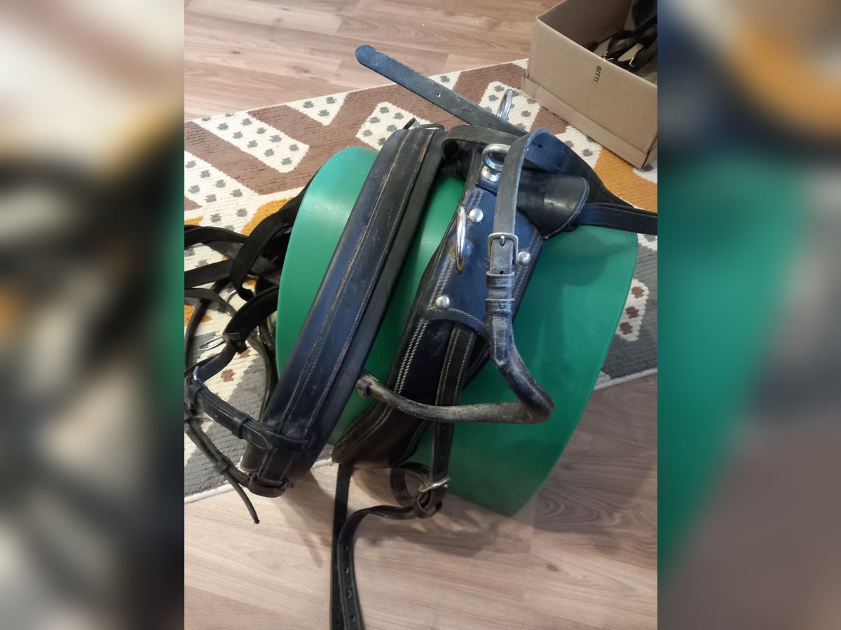 Einspännergeschirr für cob/wb