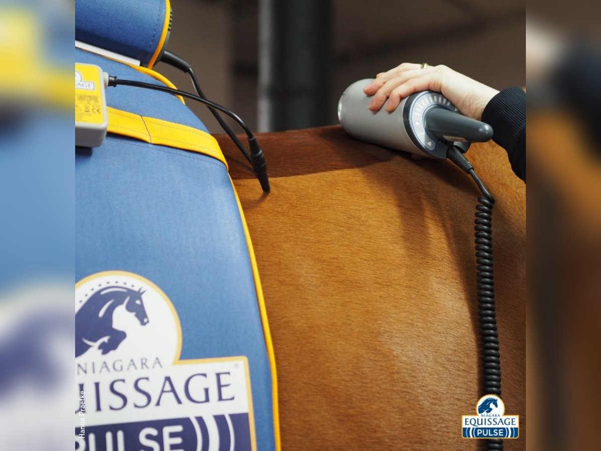 Equissage Gerätvorführung und Verkauf