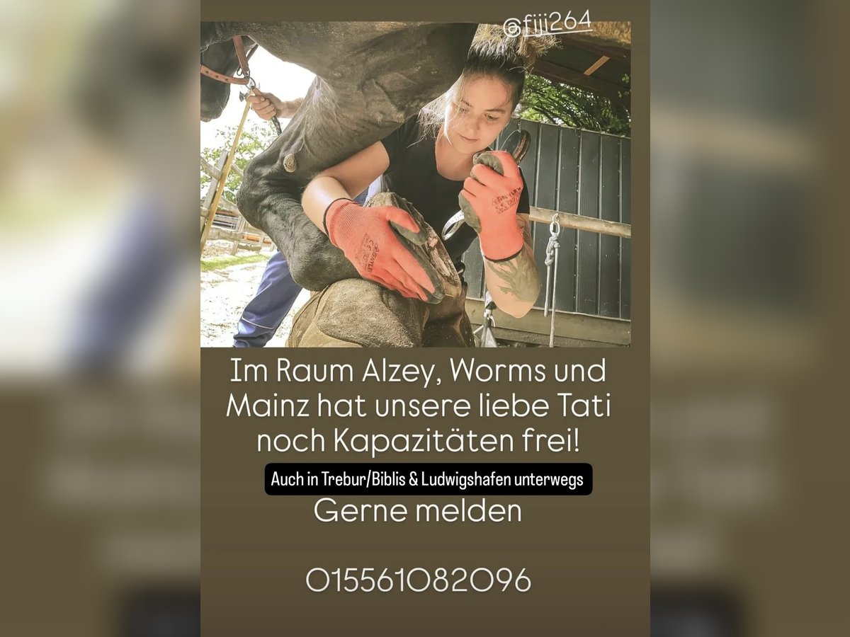 Hufbearbeitung/Hufpflegerin hat Kapazität 