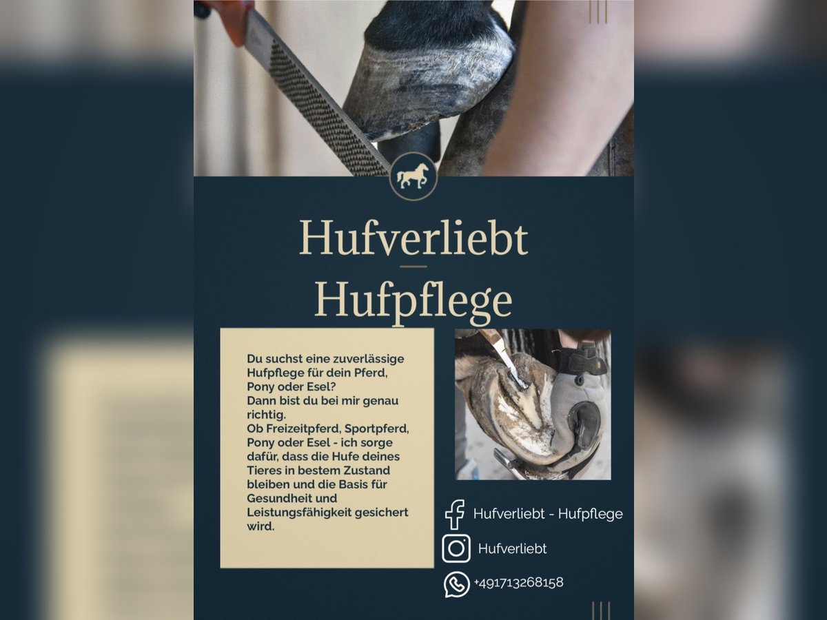 Hufpflege / Barhufpflege  Hufpflege / Barhufpflege