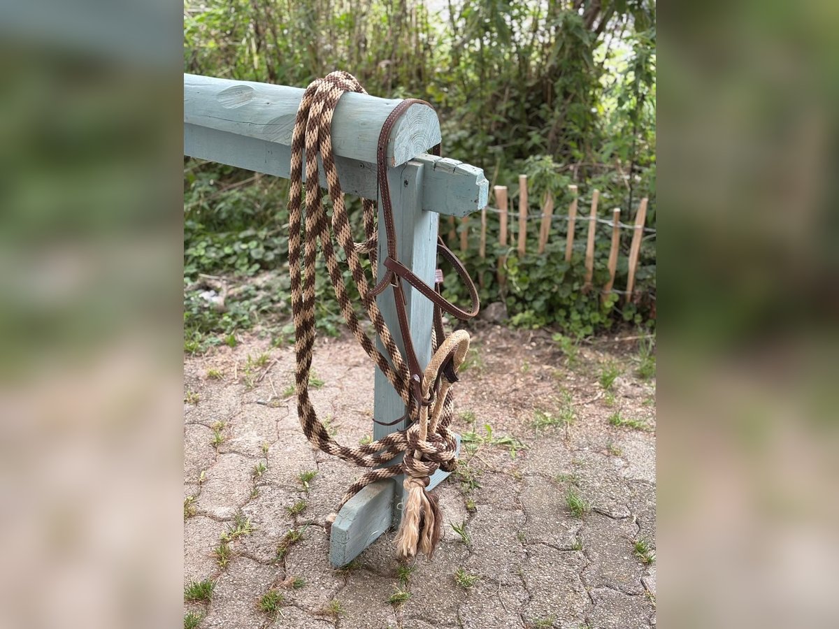 Bosal für Kleinpferde
