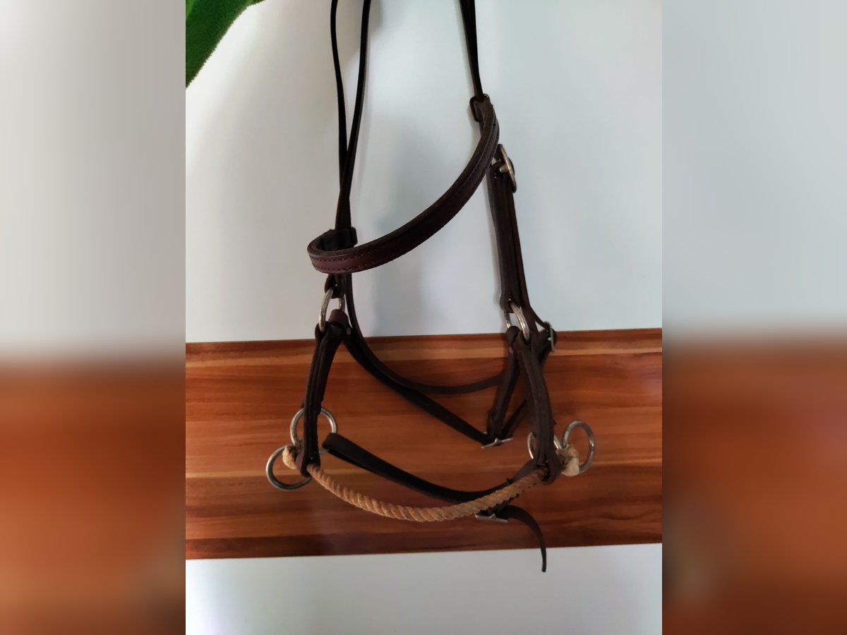Gebisslose Zäumung / Sidepull WB zu verkaufen 