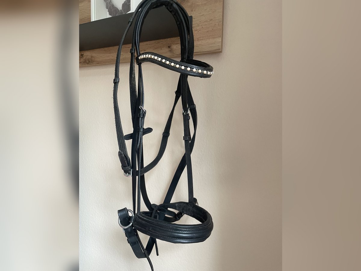 Gebisslosetrense mit Zügel