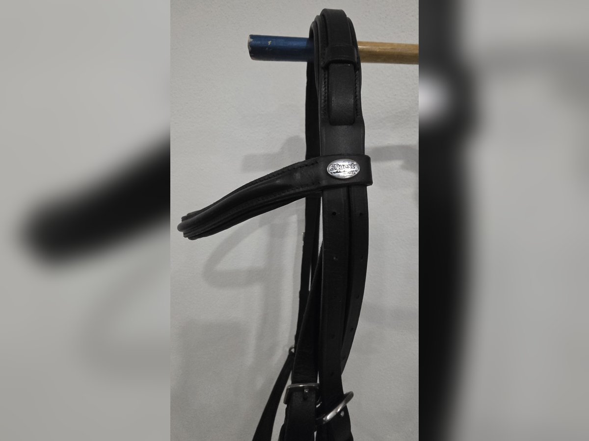 Hannoveranische Trense in der Größe WB von Equest