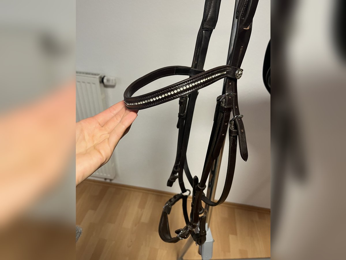 Hannoveranische Trense Schockemöhle