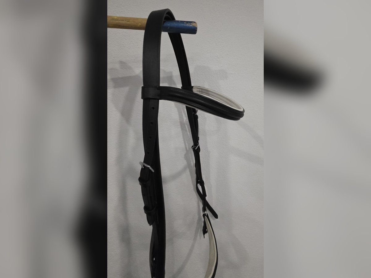 Hannoveranische Trense WB