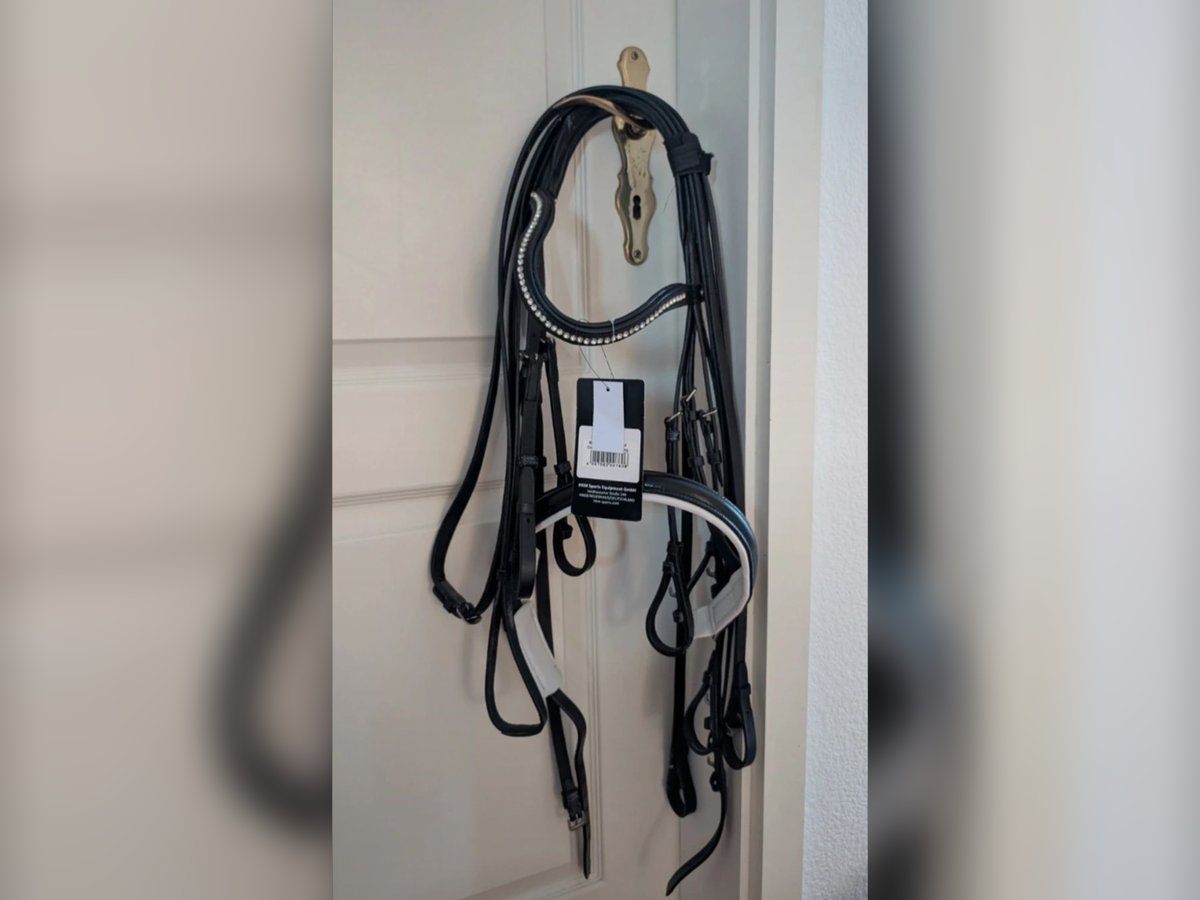 Kandarenzaum HKM neu