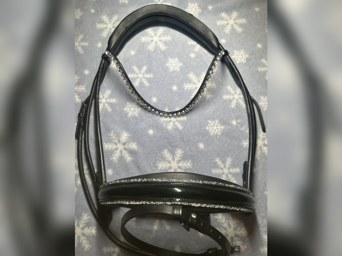 Neuwertige SD-Design Trense mit Ivy Horse Fashion Stirnriemen