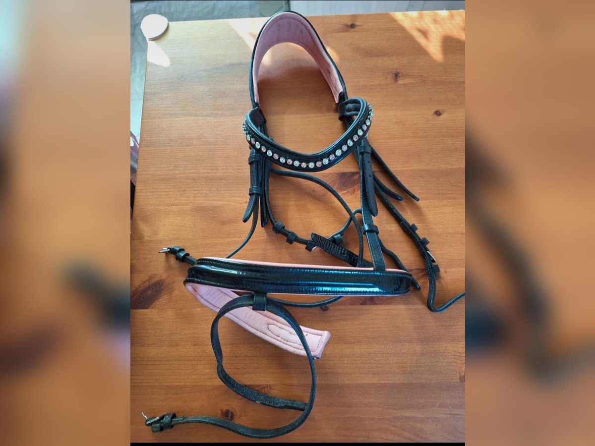 Hübsche Ponytrense