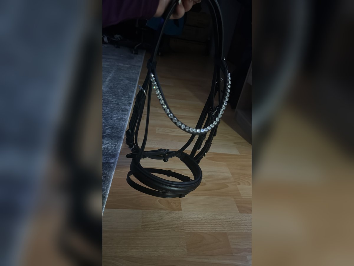 Neue Shetty Trense mit zügeln 
