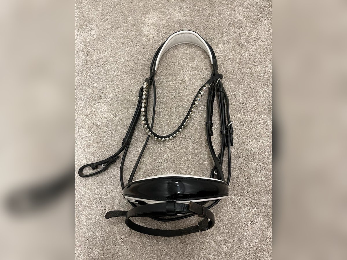 Royal H. Trense, lackiert und weiß unterlegt 