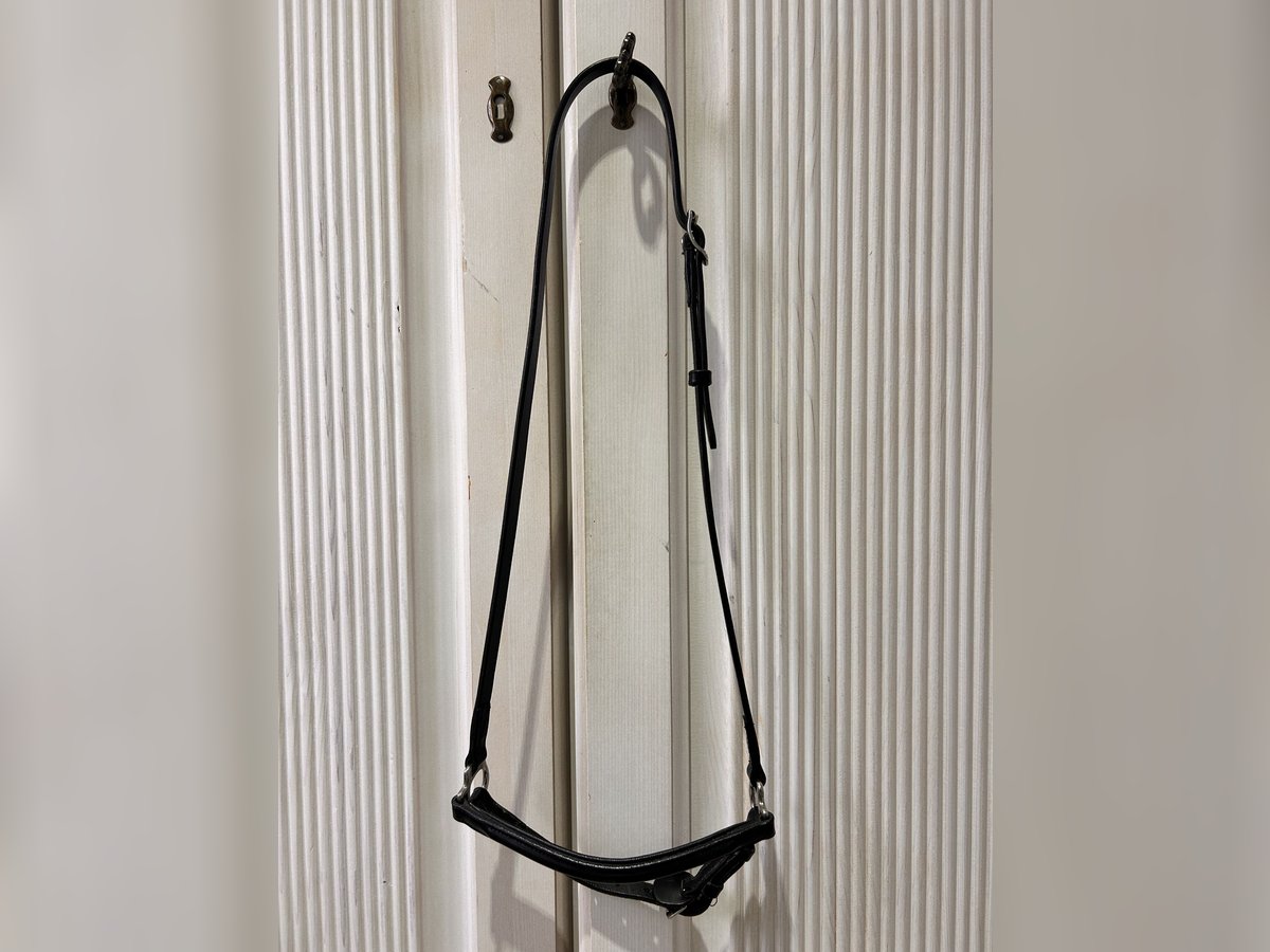 Topreiter Klassik Nasenriemen hannoversch 