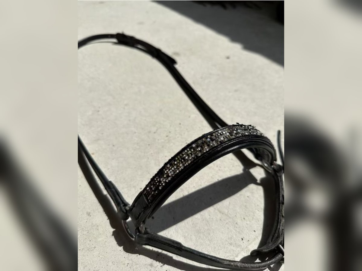 Hrímnir Nasenriemen l Feuer und Eis l Schwarz