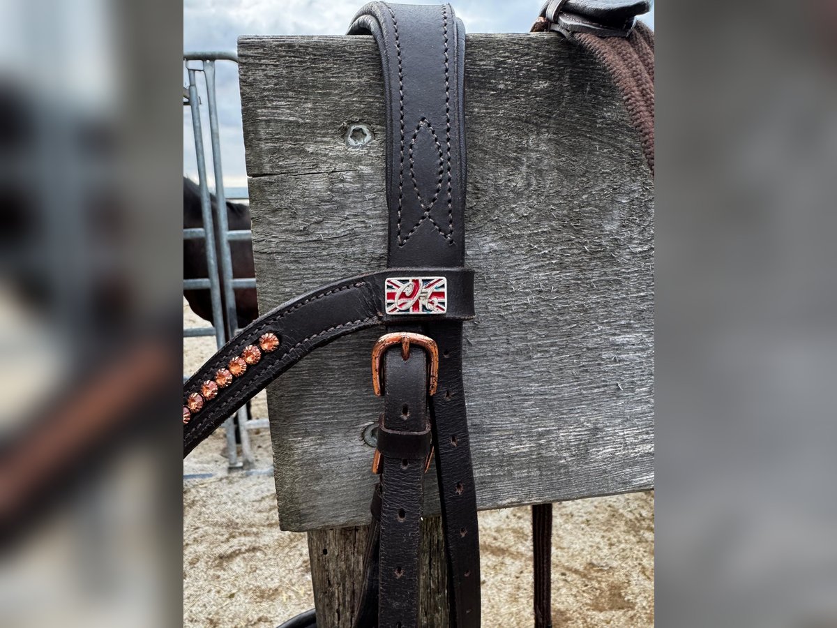 Roségold-braune Trense