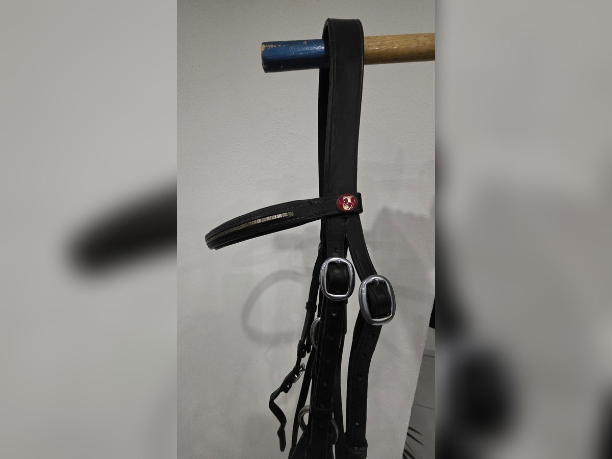 Mexikanische Trense von Kieffer WB Mexikanische Trense von Kieffer WB