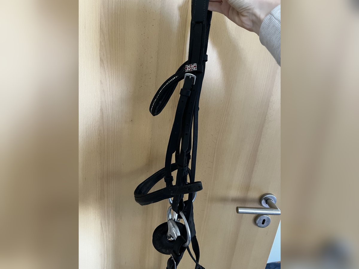 Trense Pony inklusive Zügel 