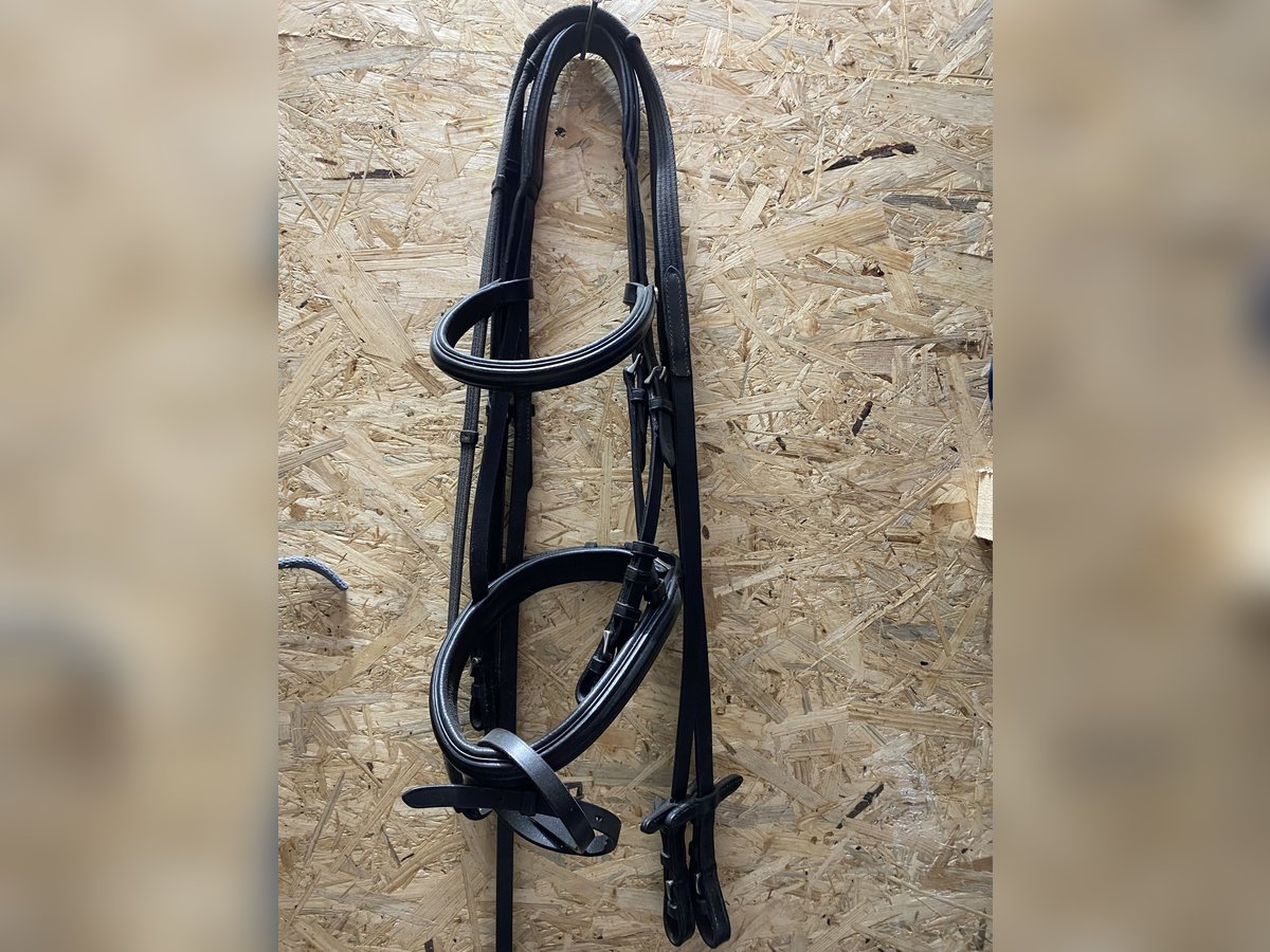 Trensenzaum von JH Reitsport Vollblut