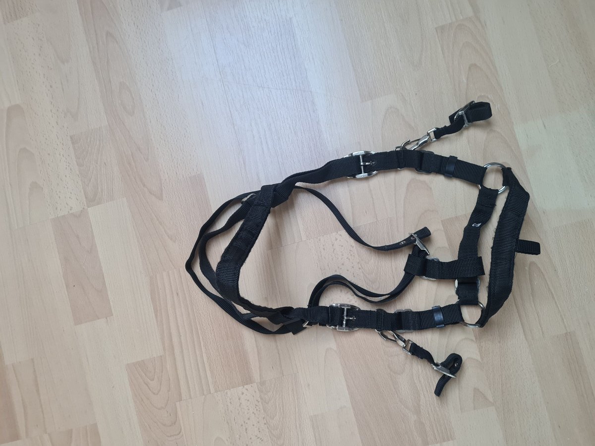 Wanderreittrense/Trense Pony  