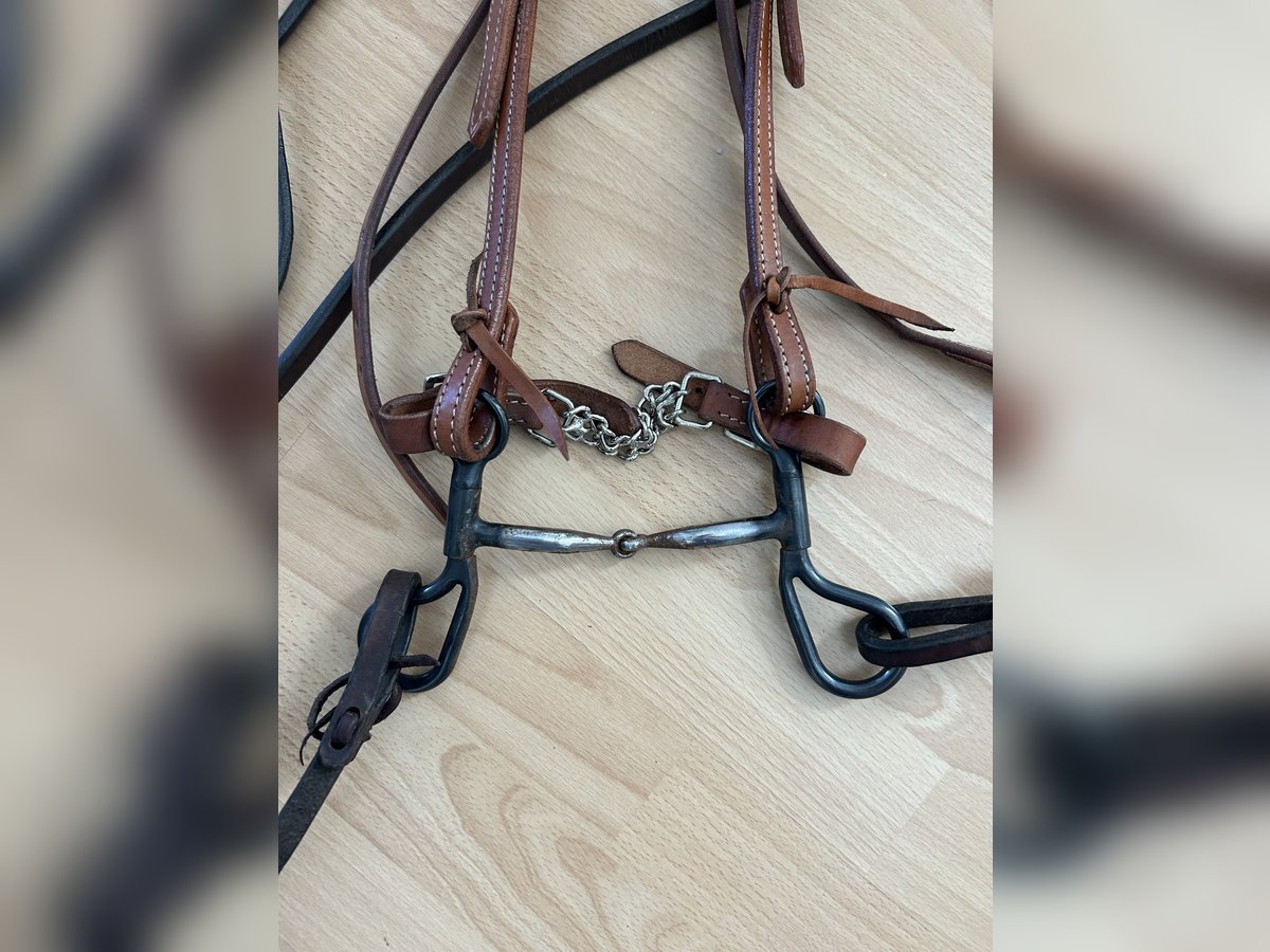 Western Trense inkl. Zügeln und Gebiss (Baby Bit)