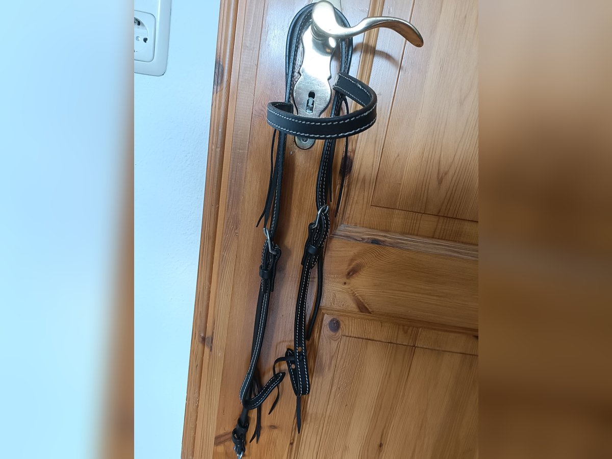 Westerntrense/ Trense/ Kopfstück