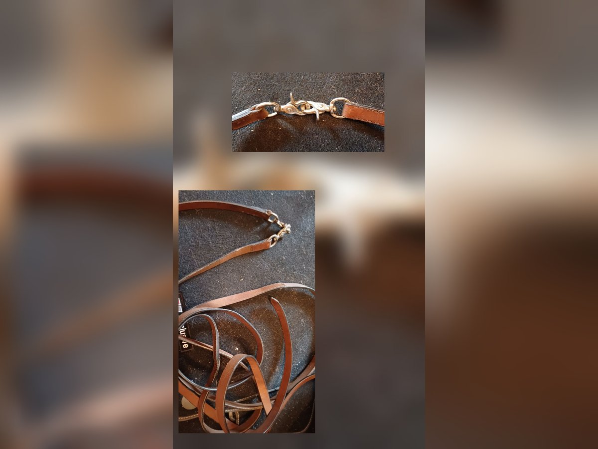 Braune Westernzügel 