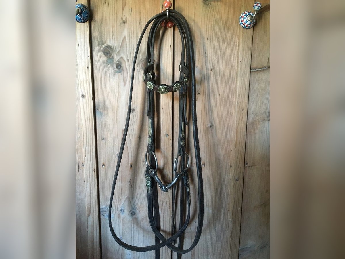 Westernzaum mit Zügeln