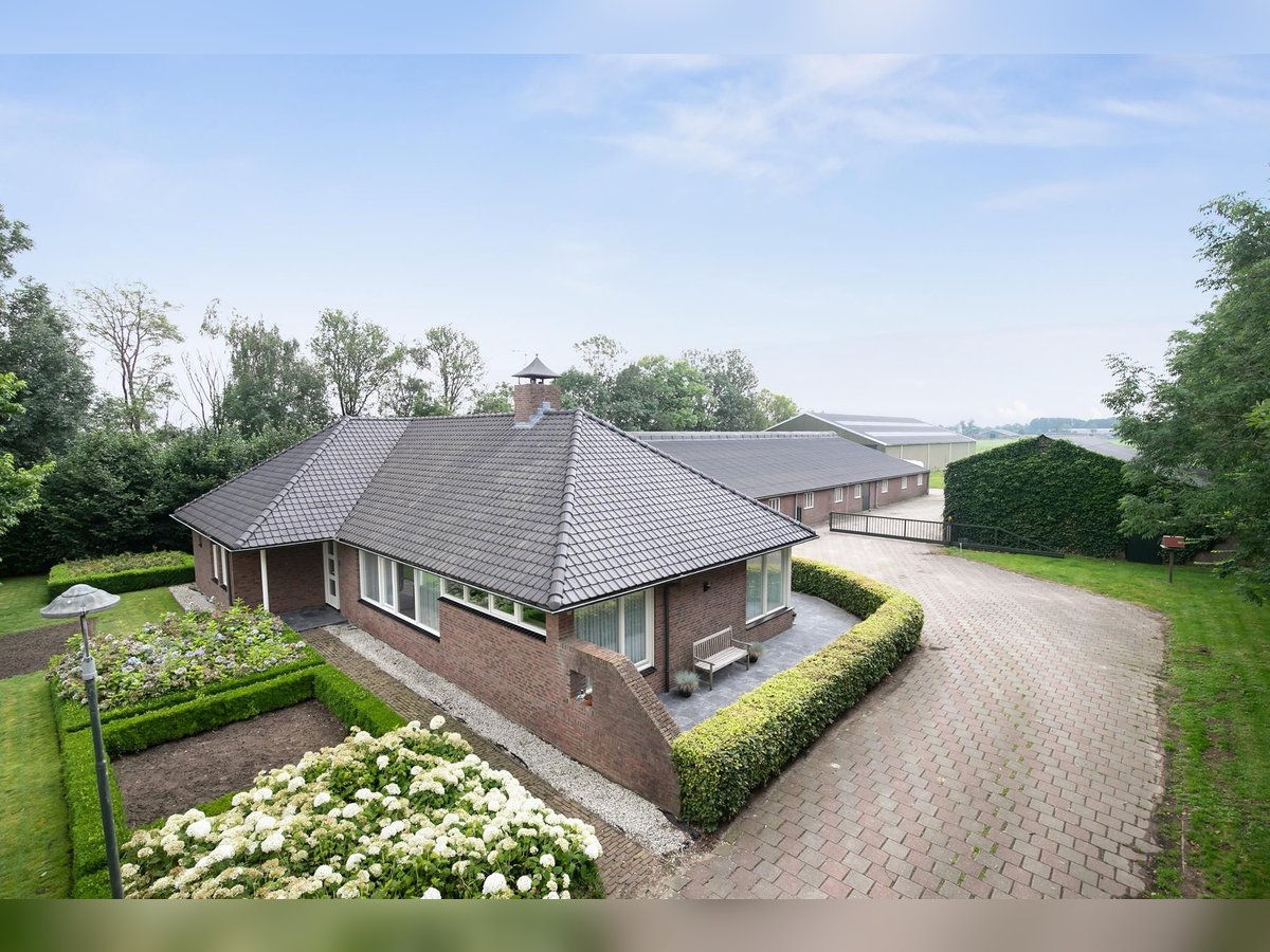 An exceptional equestrian estate with outstanding facilities!