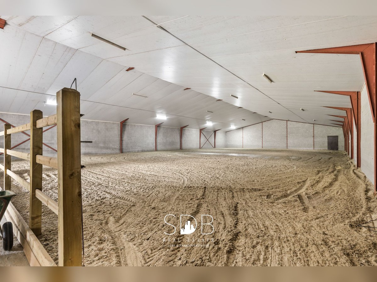 Boerderij met paardenfaciliteiten en graslanden op  14.490m² te Antwerpen | België