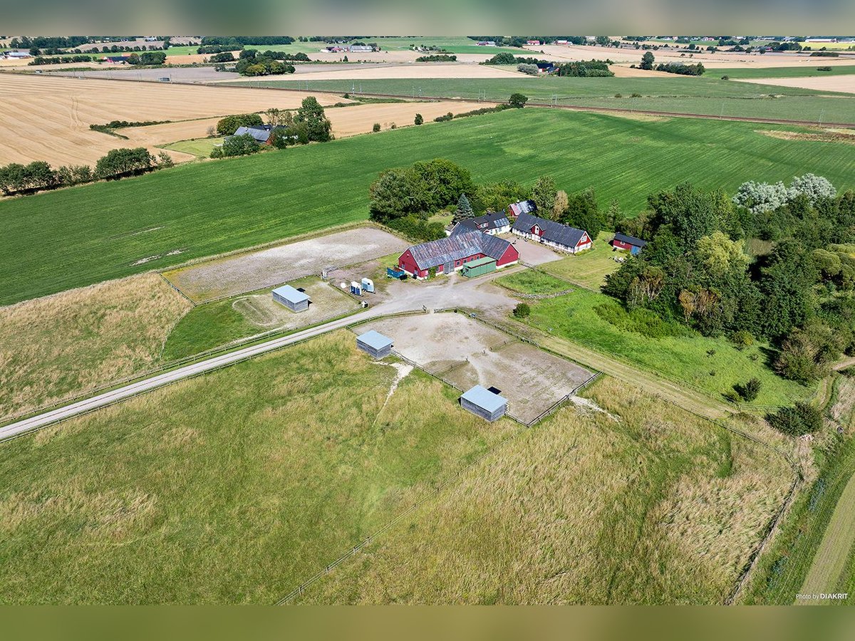 Equestrian Property with Endless Possibilities!