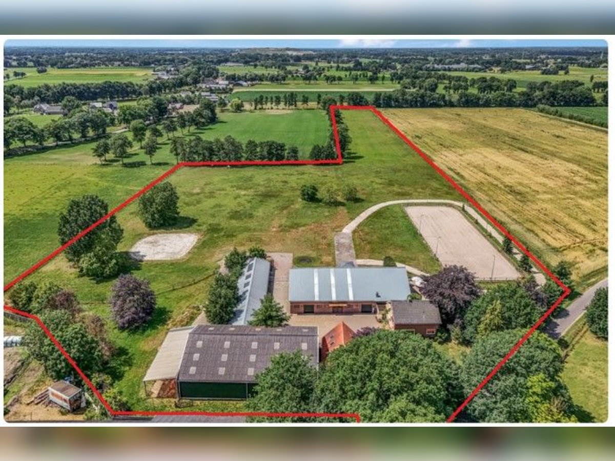 Idyllische paardenboerderij Kootwijkerbroek Veluwe te koop