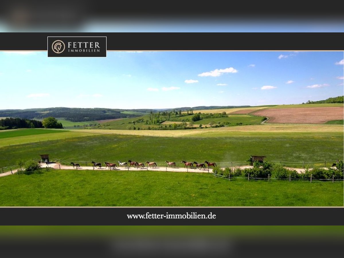 Pferdegerechte Reitanlage zu verkaufen inkl. Aktivstall & PV-Anlage (160 kWp) in Baden-Württemberg!