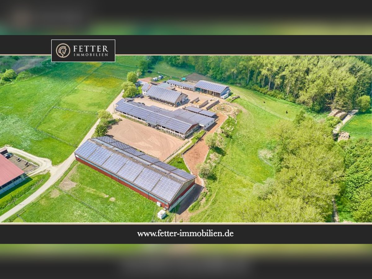 Reitanlage bei Villingen-Schwenningen mit lukrativer PV-Anlage, zwei Reithallen in traumhafter Lage!