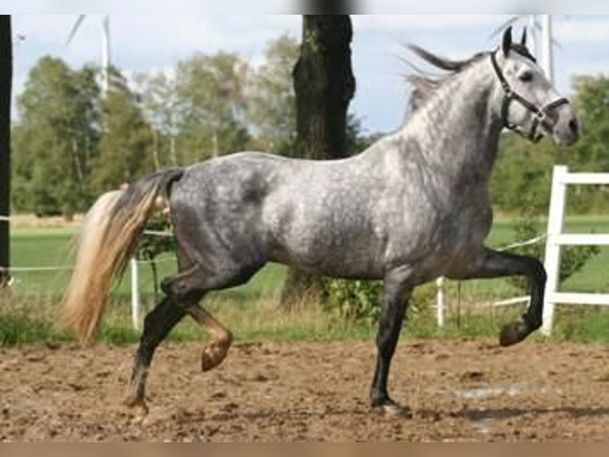  Zu Verkafen Reitsportanlage Raum Thurgau  (Schweiz)
